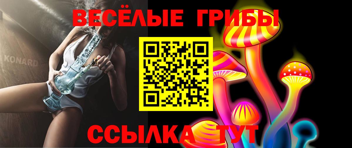 купить наркотик  Галлюциногенные грибы Psilocybe  Вход с VPN  Азнакаево 